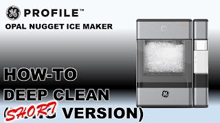 Nugget Ice Maker  Howto Deep Clean Short Version [upl. by Dirgis]