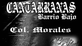 Cantarranas Barryklan el rey del barryo [upl. by Meekyh]