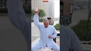 Shaolin Monks Training shorts facts viral [upl. by Leyla]