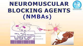 Neuromuscular Blocking Agents [upl. by Ahseyd840]