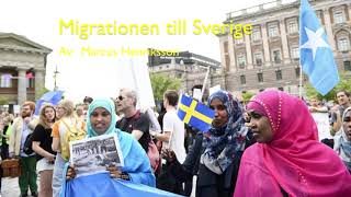 Migration i Sverige [upl. by Halak]