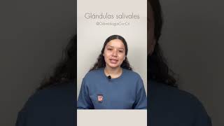 Generalidades de las glándulas salivales  Odontologia Con Cri [upl. by Ahsirak]