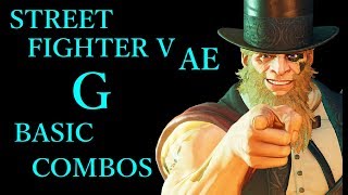 STREET FIGHTER V AE G BASIC COMBOS【スト5AE G 基礎コンボ 】 [upl. by Ycak]