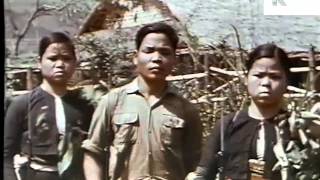 1960s Vietnam War US Soldier Captured Color Footage [upl. by Yuji]