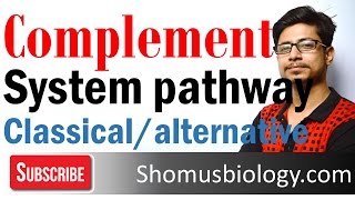 Complement system  classical and alternative pathway of complement activation [upl. by Ynad]