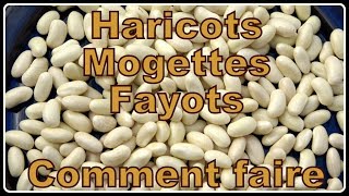 Haricot blanc mogette flageolet  Comment faire N°30 [upl. by Artim656]