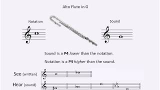 Introduction to Instrumental Transposition [upl. by Onaicul]