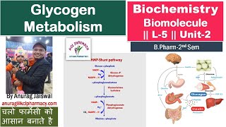 Glycogen metabolism Glycogenesis Glycogenolysis amp Gluconeogenis  L5 Unit2 Biochemistry [upl. by Leugar]