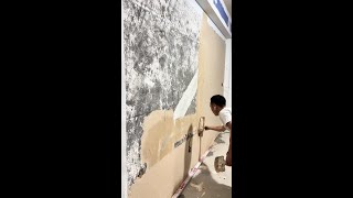 Painter Applying putty  Puttying for renovation putty 241126 [upl. by Berkie]