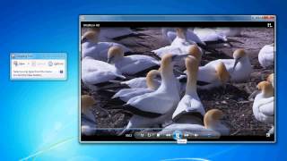 Tips Cara Capture Screenshot Mengambil Gambar Video di Windows Media Player [upl. by Nelleus]