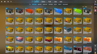 I Opened 100 Different Cases and made profit 1000 [upl. by Wrdna]