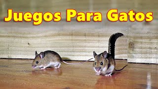 Juegos Para Gatos  Atrapa a los Ratones  Ratón en el agujero 🐭 [upl. by Adnilab]