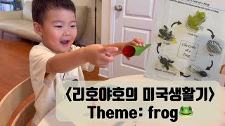 Frog activities for kids with life cycle [upl. by Ahsa]