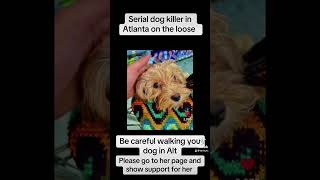 Serial dog killer on the loose in Atlanta capcut news sadnews heartbreaking iceycoffey dogs [upl. by Monetta]