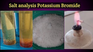 Salt analysis  potassium bromide chemistry class 12 [upl. by Ricketts]