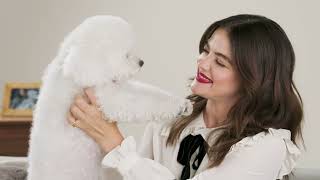 PetSmart Treats How to Get the Best Deals for Your Pets with Lucy Hale [upl. by Enobe]