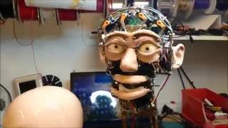 ROBOT HEAD  New Humanoid Ears for Binaural 3D audio [upl. by Ennirak]