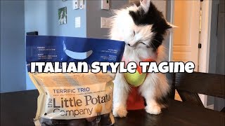 How to make an Italian Style Tagine [upl. by Irahc326]