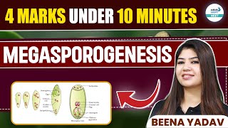 Megasporogenesis Explained in 10 Minutes  4 Marks Guaranteed  NEET 2025  Class 12 Botany [upl. by Elden]