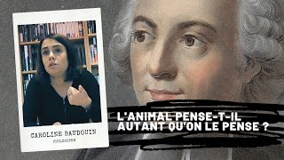 CONDILLAC  DESCARTES Lanimal pensetil autant quon le pense  Caroline Baudouin [upl. by Anjali]