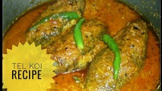 Tel Koi Recipe  Most famous traditional Bengali fish curry [upl. by Iv]