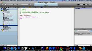 Xcode 43 Custom Table Cells using Mutable Array [upl. by Tawsha]