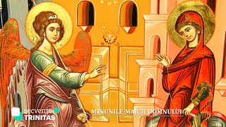 Secvențe Trinitas Minunile Maicii Domnului 21 11 2022 [upl. by Allbee]