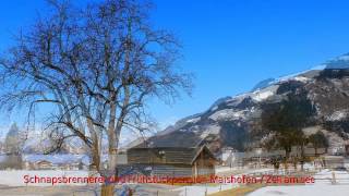 MaishofenSchnapsbrennerei Mitteregger Pension MaishofenZell am See Austria [upl. by Glory]