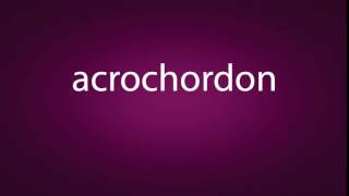 How to pronounce acrochordon [upl. by Anahsirk482]