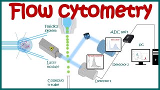 Flow cytometry  basic principles  What the use of flow cytometry   Cell sorting by FACS [upl. by Ettenwad687]