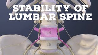 Stability of lumbar spine [upl. by Ddal609]