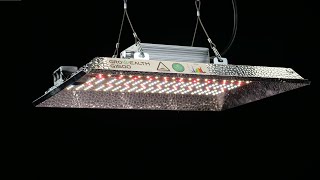 Growealth G1500 LED grow light with UVA amp IR  PAR test and review [upl. by Iak]