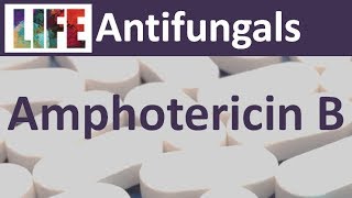 Amphotericin B [upl. by Milena]