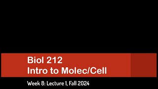 CSULB Biol 212 Fall 2024  Week 8 Lecture 1 [upl. by Llehcor194]