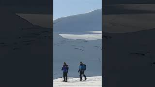 Surviving a Polar Bear Encounter in the Arctic [upl. by Rebekah]