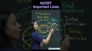 Examples of Secondary Meristem Revision Biology NEET NCERT important lines for NEET  neetncert [upl. by Lessur467]