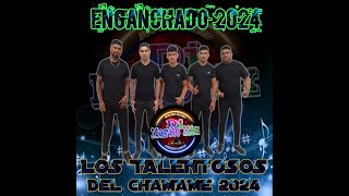 LOS TALENTOSOS DEL CHAMAME 2024 Dj Marito Mix [upl. by Hannus]