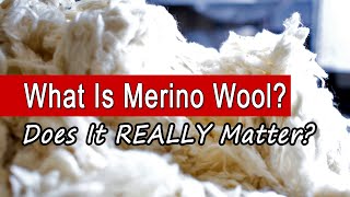 What Is Merino Wool Is It REALLY Better Than Regular Wool [upl. by Eirrehc]