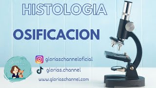 Histología para Medicina Osificación endocondral [upl. by Ehtiaf]