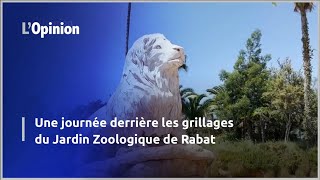 Une journée derrière les grillages du Jardin Zoologique de Rabat [upl. by Sirovart]