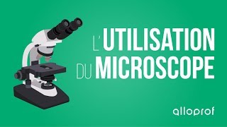 Lutilisation du microscope  Sciences  Alloprof [upl. by Paucker]