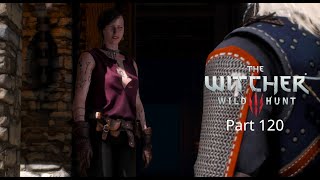 Lets Play The Witcher 3  Wild Hunt Part 120  Alte Freunde in der Kanalisation [upl. by Ardelle463]