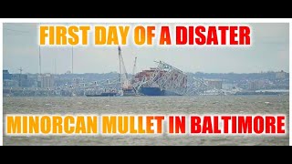 MV Dali and Bridge Collapse Report from Baltimore Environmental Cleanup Begins [upl. by Erialb124]