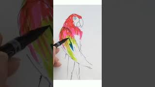 Colouring With Felt Tips for beginners  art shorts drawing viral Yo2condoit [upl. by Yorke]