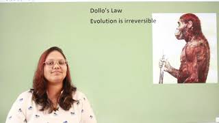 Dollos Law rules in Evolutionary biology [upl. by Eenalem289]