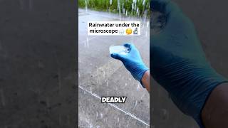 Rain water is deadly 😱 [upl. by Winifield]