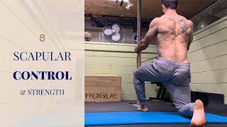 6 Exercises for Scapular Control and Strength [upl. by Relyuc287]