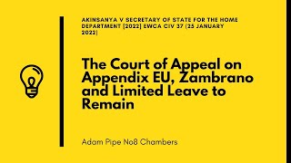 The Court of Appeal on Appendix EU Zambrano and Limited Leave to Remain [upl. by Noam202]