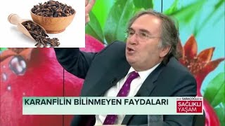 KARANFİLİN FAYDALARI NELERDİRKARANFİL YAĞI FAYDALARIKARANFİL SUYU FAYDALARIKARANFİL ÇAYIFAYDALARI [upl. by Suoiluj629]