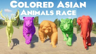 Colored Asian Animals Races in Planet Zoo included Bengal Tiger Indian Elephant Orangutan amp etc [upl. by Nairdad]